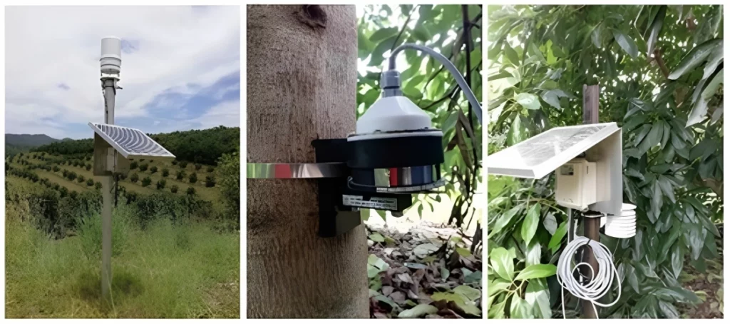 Weather station and soil moisture management case study